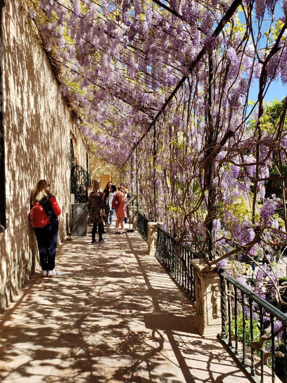 Apartamento Jardin De Santa Paula Seville Exterior photo